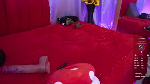 rachellk online show from February 25, 3:31 pm