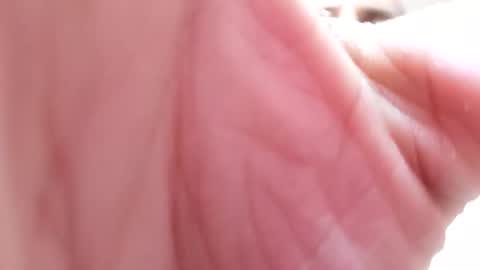 raidehot online show from October 16, 2:38 pm