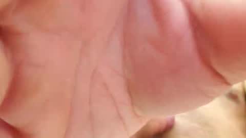 raidehot online show from October 14, 9:56 am