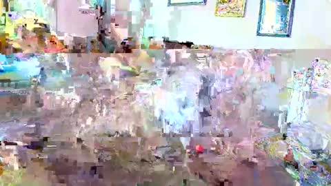 raiderred69 online show from February 6, 9:49 pm