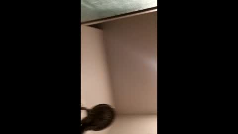 rainwater20 online show from April 13, 10:19 am