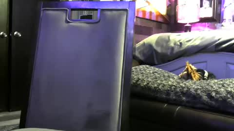 Randy8inbater online show from October 12, 5:00 am