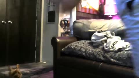 Randy8inbater online show from October 21, 3:22 am