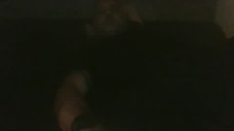 rapzerr online show from September 16, 3:30 am
