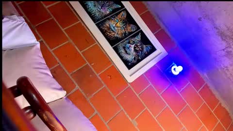 thalia online show from October 5, 5:09 pm