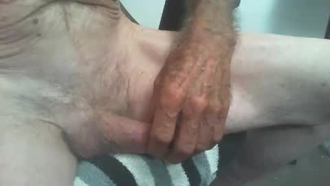 rattcatt online show from November 8, 11:13 am