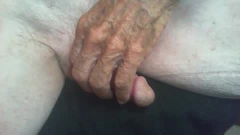 rattcatt online show from September 22, 10:19 am