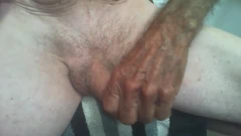 rattcatt online show from October 31, 12:27 pm