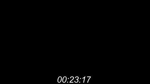 Raven online show from March 8, 1:37 pm