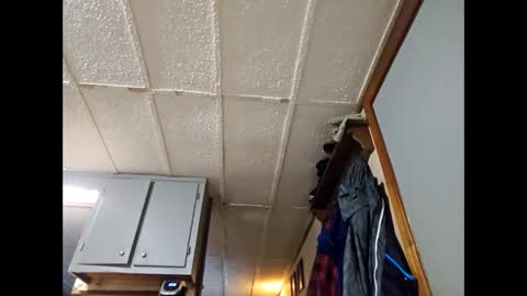 raybob252000 online show from December 1, 6:06 pm