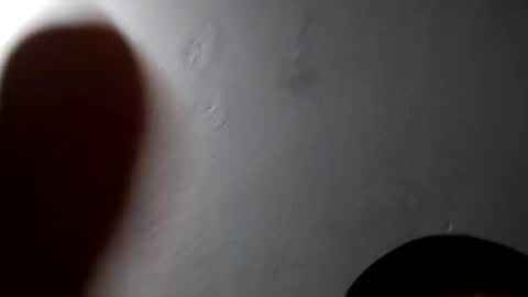 reality77777 online show from March 1, 4:33 pm