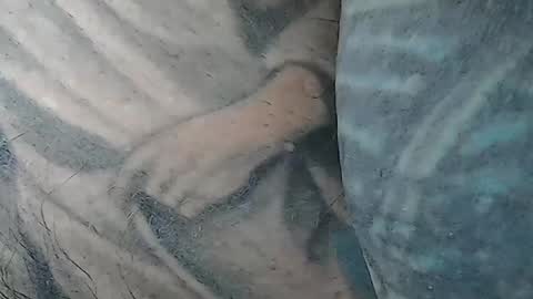 realrubpirate online show from February 26, 10:07 am