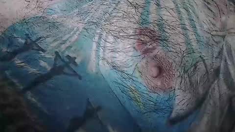 realrubpirate online show from February 4, 9:13 am