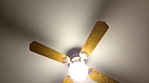 red24devils online show from November 19, 12:54 am