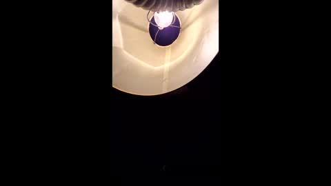 red_hot_peppers online show from October 26, 9:47 pm