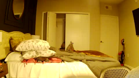 richierich813 online show from October 3, 7:16 am