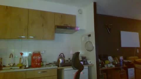 rikkerd55 online show from January 5, 5:27 pm