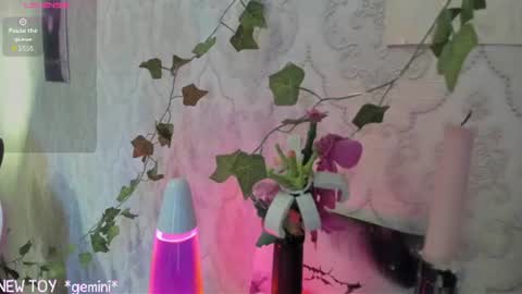 My name is Riley Like my broadcast pls 3 online show from July 25, 3:15 am