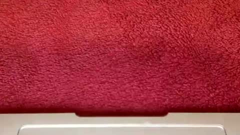 Snapshot of rimalovar chatting on October 25, 6:35 am rimalova online show from October 25, 6:35 am