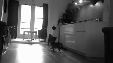 rober10000 online show from September 12, 7:54 am