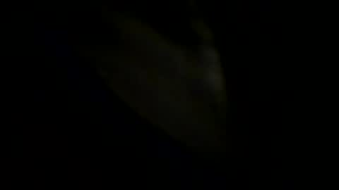 Johnny online show from May 31, 6:09 pm