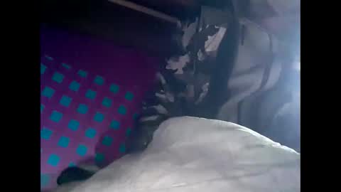 Snapshot of robincom23 chatting on February 26, 5:53 pm R online show from February 26, 5:53 pm
