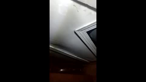 R online show from December 23, 8:42 am