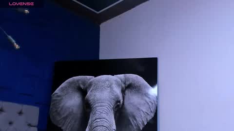 rocco_santos online show from October 10, 3:12 am