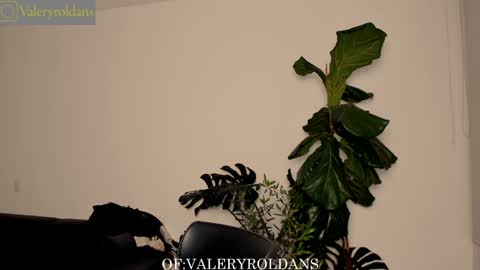 Valery Roldans online show from February 4, 3:44 am