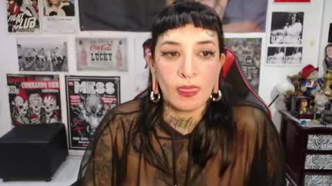 Rolly online show from November 30, 11:45 pm