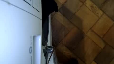 Roma online show from October 25, 3:07 am