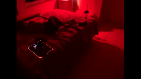 romeotyn online show from February 21, 3:01 am