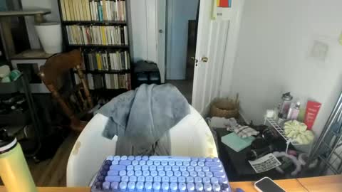 rose257044 online show from September 20, 9:51 pm