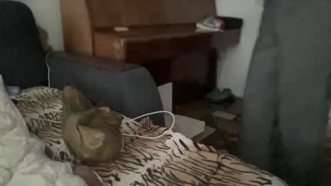 Rose and the Collector online show from October 9, 11:05 am