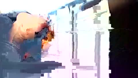 Snapshot of rushover63 chatting on March 3, 10:49 am rushover63 online show from March 3, 10:49 am