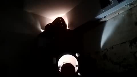 Ryland online show from January 14, 7:49 am