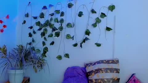 SABRI online show from February 22, 3:14 pm