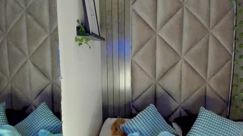 S A B R I N A  online show from February 5, 11:36 am