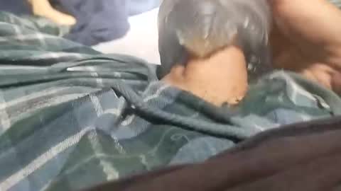 sagozure online show from October 5, 1:58 am