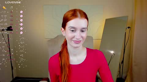 Snapshot of sallybiscuit chatting on January 30, 10:40 am Sally online show from January 30, 10:40 am