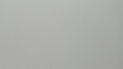 SALVATORE online show from February 6, 11:09 am