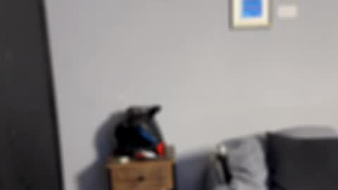 Salvatore online show from February 18, 5:07 am