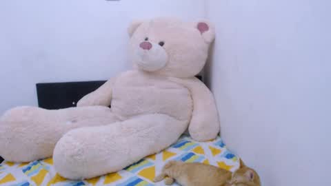 Snapshot of samantha2girl chatting on February 21, 12:05 am samantha online show from February 21, 12:05 am