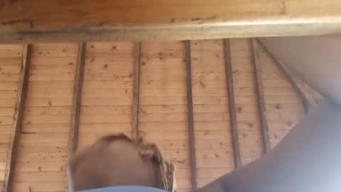 Alejandra  online show from March 8, 12:09 pm