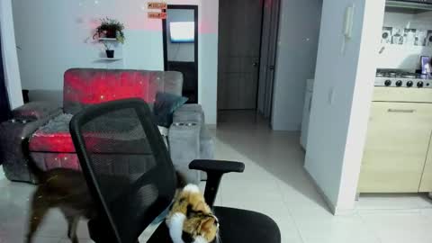 Snapshot of samismith77 chatting on September 13, 1:52 am SARA online show from September 13, 1:52 am