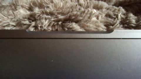 Morvoys online show from May 2, 11:49 am