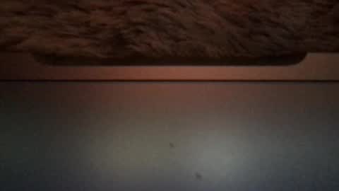Morvoys online show from April 28, 6:56 pm