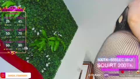 sansa_staark online show from May 30, 2:48 pm