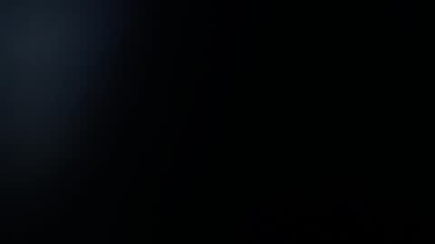  1 online show from January 9, 2:29 pm