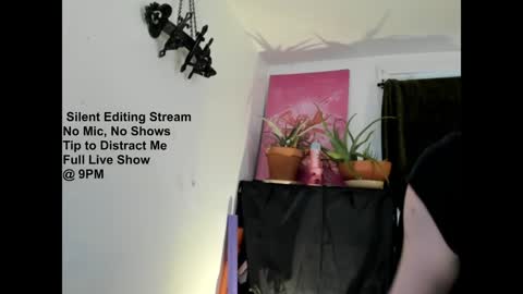 Sara Desire online show from February 8, 8:42 pm